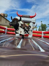 IMG 20231019 143912 1699841462 Mechanical Bull